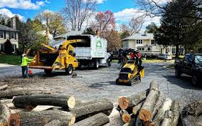Lawn Pest Prevention in Northeast Ithaca, NY