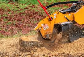 Best Lawn Mowing  in Northeast Ithaca, NY