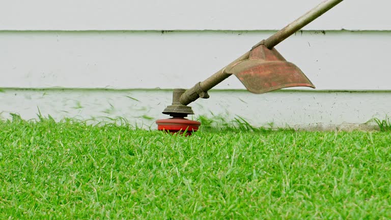 Best Tree Mulching  in Northeast Ithaca, NY