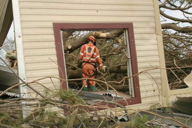 Best Tree Health Inspection  in Northeast Ithaca, NY